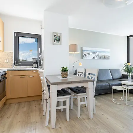 Boern Brn Fliegender Hollaender